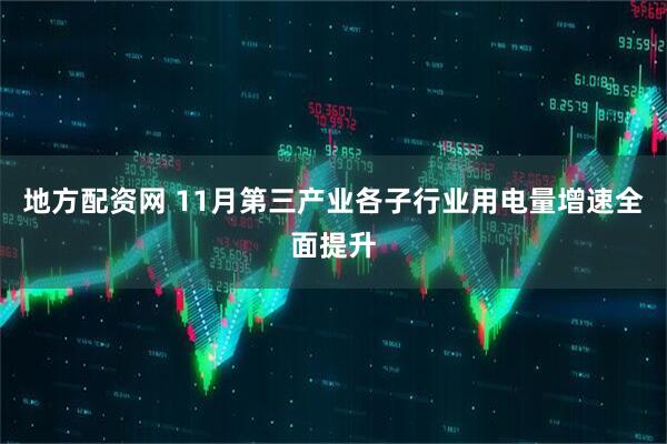 地方配资网 11月第三产业各子行业用电量增速全面提升