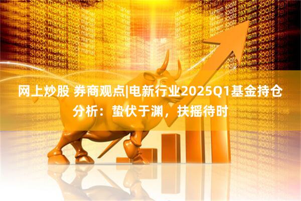 网上炒股 券商观点|电新行业2025Q1基金持仓分析：蛰伏于渊，扶摇待时
